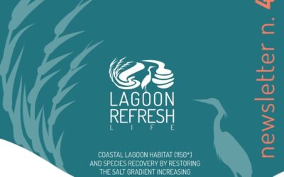 Life Lagoon Refresh: le newsletter del progetto sono disponibili per essere scaricate