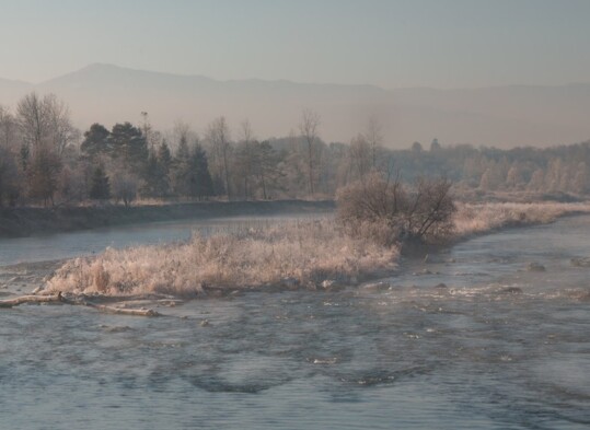 giornata_mondiale_acqua_Galaverna sul Piave a Lambioi_ph_Bruno_Boz