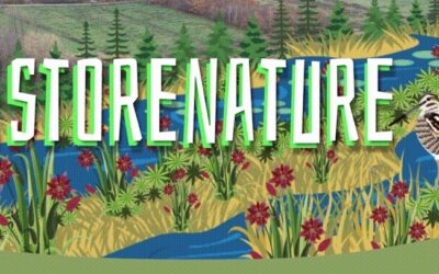 #RestoreNature: firma la petizione per ripristinare la natura adesso!