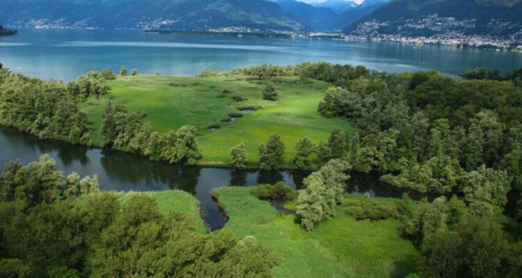 riqualificare il territorio del fiume Ticino