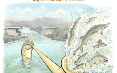 4-7 maggio 2021 – Invito a partecipare ai seminari online “Dam removal goes Alps”