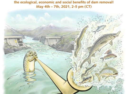Dam removal goes Alps