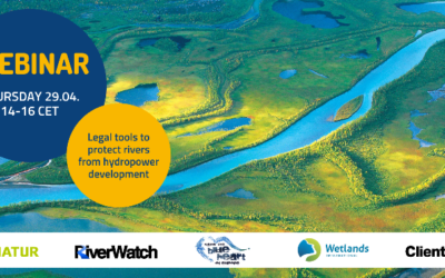 29 aprile 2021 – Wetlands International European Association: presentazione del toolkit normativo per la protezione dei fiumi dalla costruzione delle centrali idroelettriche