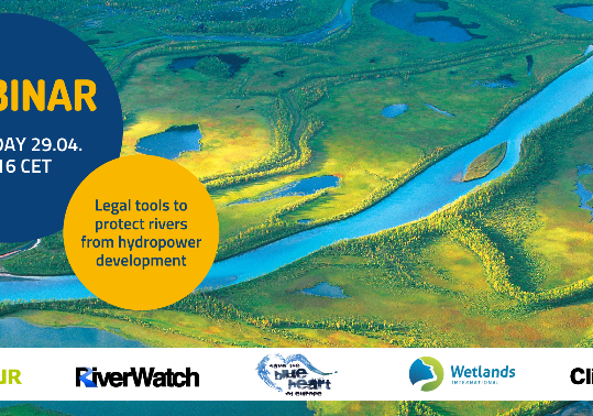 29 aprile 2021 - Wetlands International European Association: presentazione del toolkit normativo per la protezione dei fiumi dalle costruzione delle centrali idroelettriche