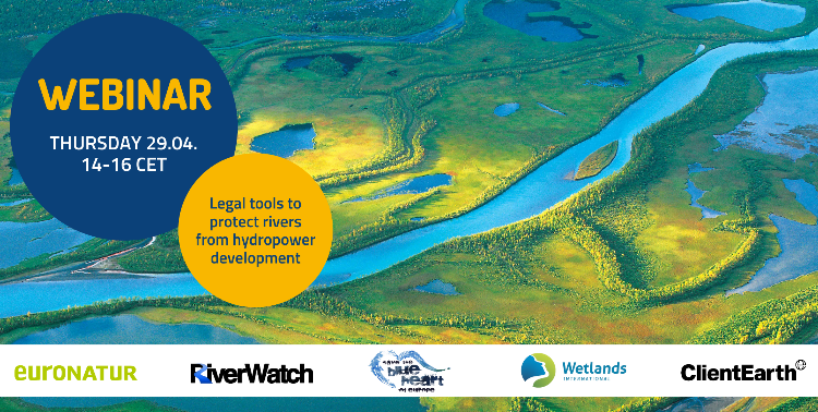 29 aprile 2021 - Wetlands International European Association: presentazione del toolkit normativo per la protezione dei fiumi dalle costruzione delle centrali idroelettriche
