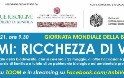 21 maggio 2021 – Il webinar dedicato alla biodiversità dei fiumi: “Fiumi: Ricchezza di vita”