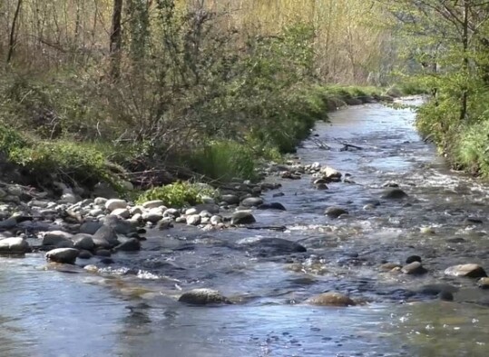 presentano il piano di riqualificazione del corridoio ecologico del Fiume Ticino