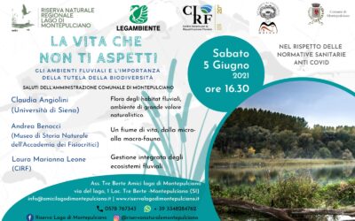 Giornata di Studio: “La vita che non ti aspetti” – Gli ambienti fluviali e la tutela della biodiversità