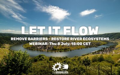 Webinar 8 luglio: LET IT FLOW – RIMUOVERE LE BARRIERE, RIPRISTINARE GLI ECOSISTEMI FLUVIALI