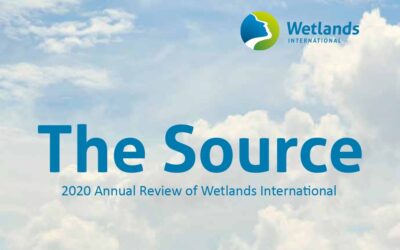 Il resoconto 2020 di Wetlands International diventa una rivista digitale