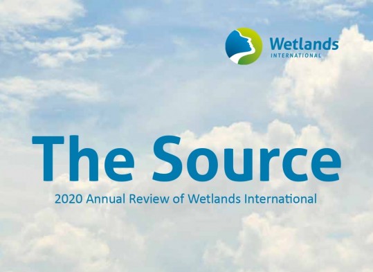 Revisione annuale wetlands the source