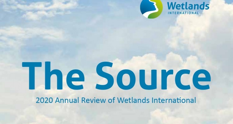 Revisione annuale wetlands the source