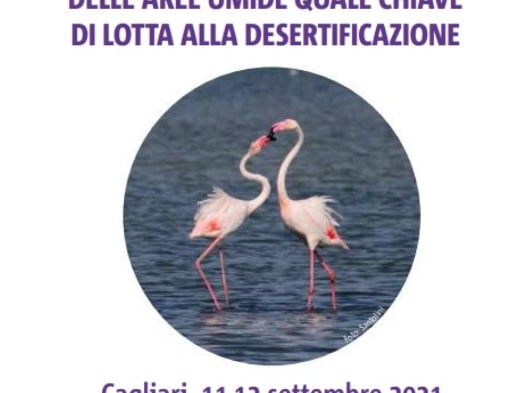 convegno Cagliari aree umide