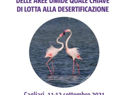 convegno Cagliari aree umide