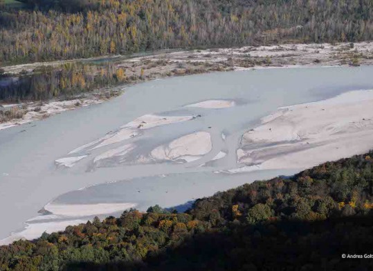 Fiume Tagliamento - foto scattata da Andrea Goltara