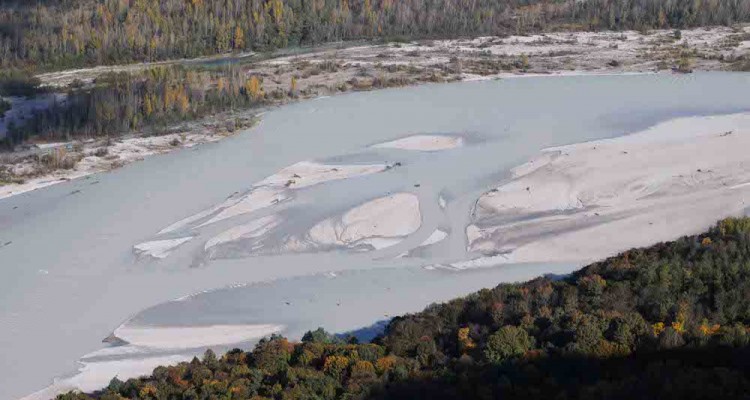 Fiume Tagliamento - foto scattata da Andrea Goltara