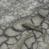 Corte dei Conti Europea: l’uso dell’acqua in agricoltura resta insostenibile, i fondi PAC vanno indirizzati diversamente