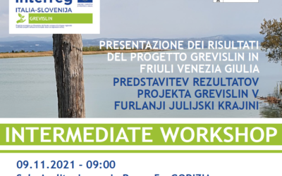 9 novembre a Gorizia: Intermediate  Workshop – Progetto GREVISLIN