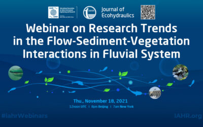 18 novembre 2021: Webinar on Research Trends in the Flow-Sediment-Vegetation Interactions in Fluvial System