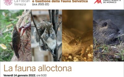 La fauna alloctona: convegno a Venezia – 14 gennaio 2022
