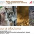 La fauna alloctona: convegno a Venezia – 14 gennaio 2022