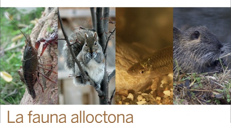 convegno fauna alloctona venezia