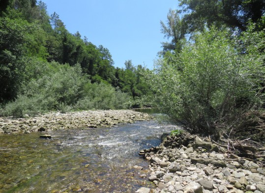 report WFD: finanziamenti insufficienti ( foto fiume)