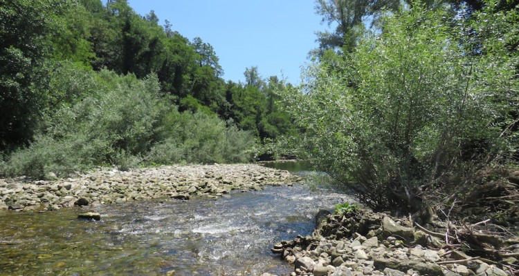 report WFD: finanziamenti insufficienti ( foto fiume)
