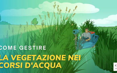 Come gestire la vegetazione nei corsi d’acqua naturali e artificiali