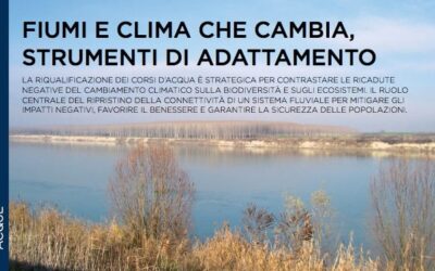 Fiumi e clima che cambia, strumenti di adattamento: articolo su Ecoscienza