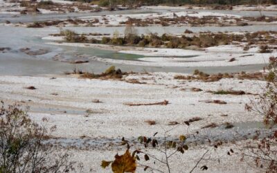 Fiumi italiani: rimettere al centro i valori ecologici per garantirne la salute