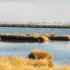 Una richiesta di intervento da parte del Parlamento Europeo a difesa del Riserva Naturale di Doñana (Spagna)