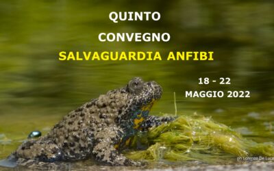 Prorogati i termini di iscrizione e proposta di partecipazione al Quinto convegno nazionale “Salvaguardia anfibi”