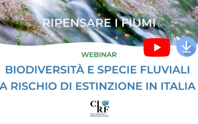 Biodiversità e specie fluviali a rischio di estinzione in Italia: sono online le presentazioni e la registrazione del webinar