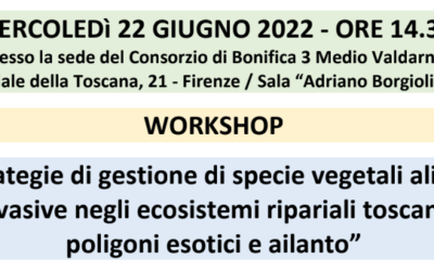 Workshop 22 giugno sulla gestione delle specie vegetali aliene invasive negli ecosistemi ripariali toscani