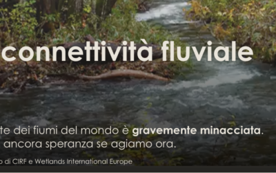 È online il sito “Free-Flowing Rivers” dedicato alla connettività fluviale