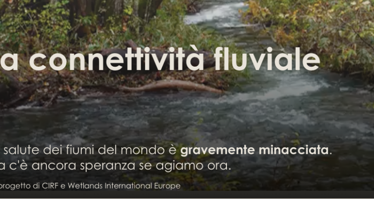 Free-Flowing Rivers - connettività fluviale