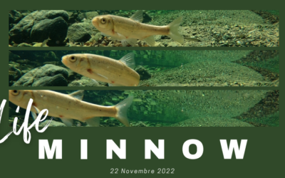 22 novembre 2022: Presentazione LIFE Minnow 