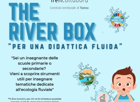 copertina the river box progetto