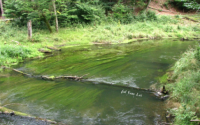 Workshop 20-22 aprile in Polonia: Natural river processes as a base for river-related protected areas and river restoration