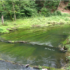 Workshop 20-22 aprile in Polonia: Natural river processes as a base for river-related protected areas and river restoration