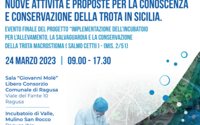 Seminario 24 marzo 2023: Nuove attività per la conoscenza e la conservazione della trota siciliana