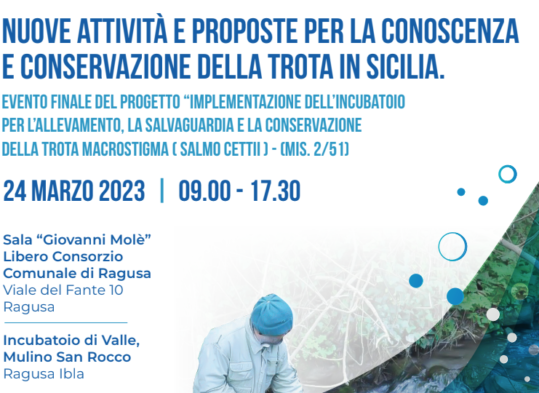 conservazione trota siciliana