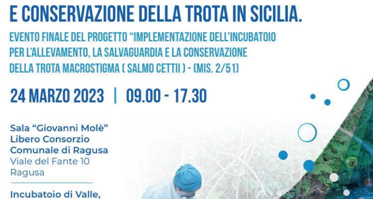 conservazione trota siciliana