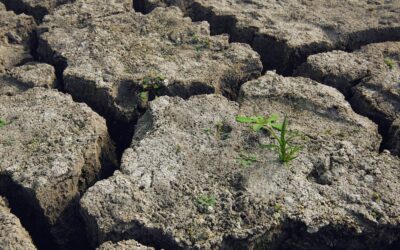 Emergenza siccità: il Governo inverta la rotta