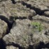 Emergenza siccità: il Governo inverta la rotta