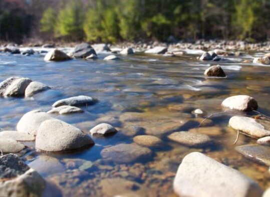 Fiumi: legami e contrapposizioni tra uomo e ambiente