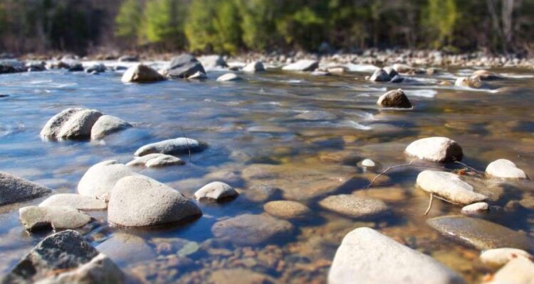 Fiumi: legami e contrapposizioni tra uomo e ambiente