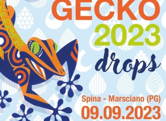 Gecko fest 2023