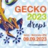 9 settembre 2023: Gecko Fest – una giornata dedicata al tema dell’acqua